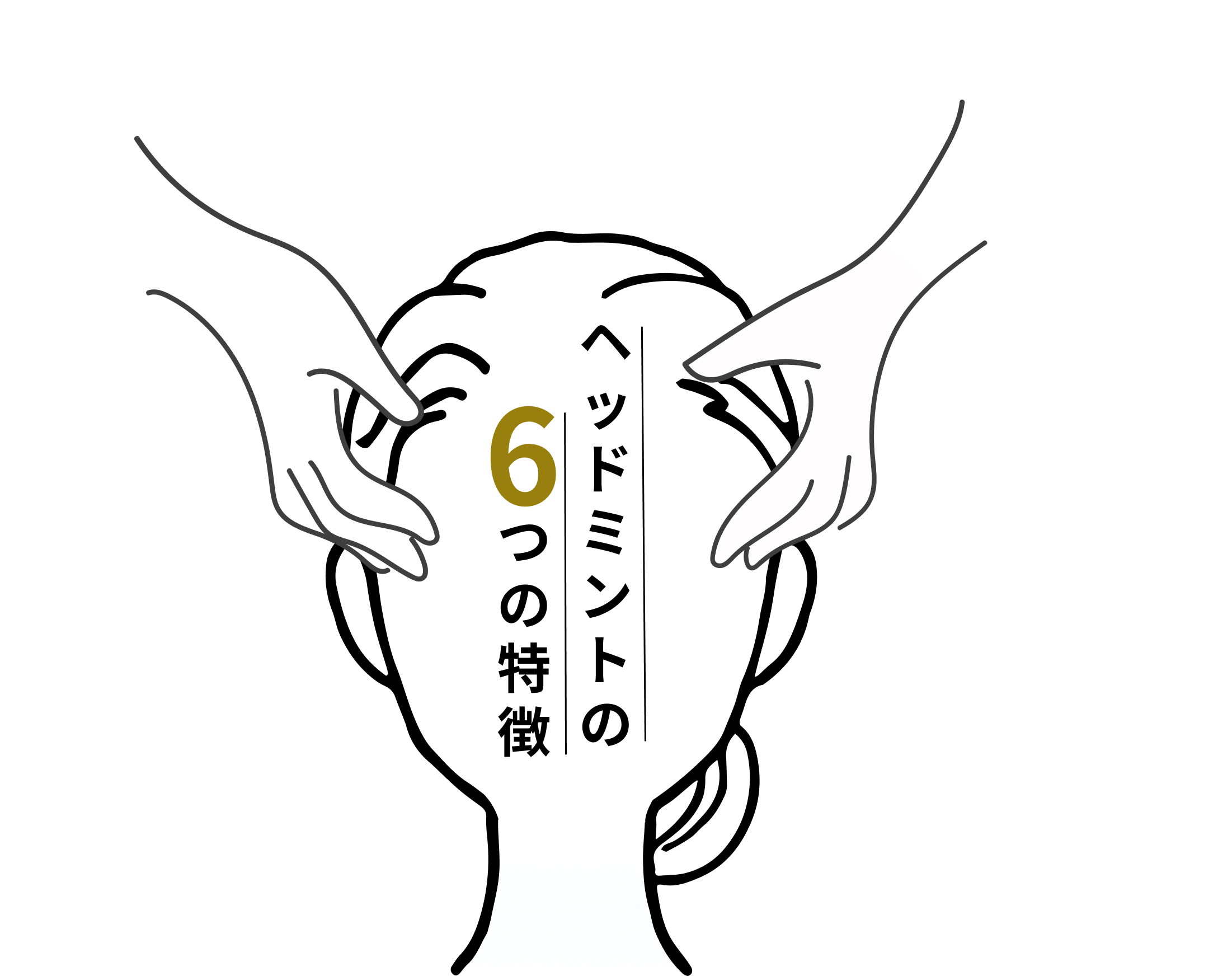 ヘッドミントの６つの特徴