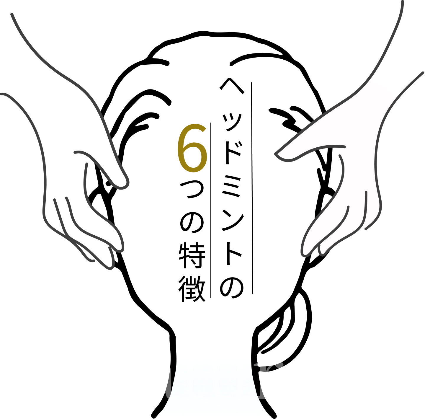 ヘッドミントの６つの特徴